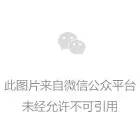 凯时尊龙人生就是博闪耀亮相CIIF2024,展示工业自动化领域最新技术及产品 凯时尊龙人生就是博闪耀亮相CIIF2024,展示工业自动化领域最新技术及产品